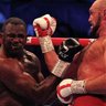 webboxingleague's profile picture
