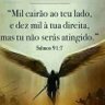 ivam pereira's profile picture