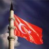 Ceyhan Sevim's profile picture