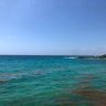 Фото профиля Florida Doc