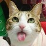 意和 的头像