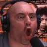 Profilbild von Chimp Knuckles