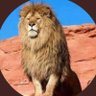 Profilbild von صريح