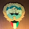 Profilbild von حب هذي الارض يسري في عروقي