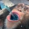 The Video Jame's profile picture
