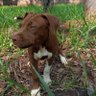 Gamora profil fotoğrafı