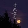 تن تن's profile picture