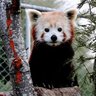 欧阳若风's profile picture