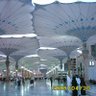 Shafiqred Ahmedred profil fotoğrafı