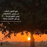 ibrahem 的头像