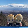 Profilbild von アプリ閉じろ