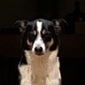 paula jackson's profile picture