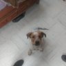Profilbild von CapitanBarboza9111 Barboza