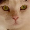 Profilbild von AllWeHaveIsNow