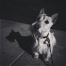 GIGi's profile picture
