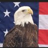 Profilbild von American Smasher