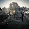 Фото профиля Biiavlt