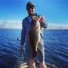 Conner Trahan's profile picture