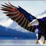 LIBERTY profil fotoğrafı