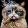 RedsGuy profil fotoğrafı