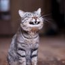 姉根 profil fotoğrafı