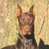 Profilbild von Barron In Louisiana