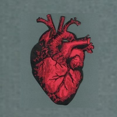 โก's profile picture