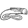 james eel. 的头像