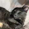Charlie's profile picture