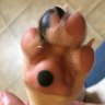 Bink 的头像