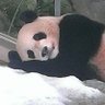 Profilbild von ひまわり