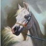 Profilbild von طيـبَــة صـَـلاح