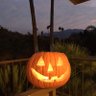 Johnnycocktails's profile picture