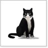 Фото профиля FelixtheCat