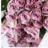 Фото профиля النـايـفـه ..