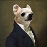Фото профиля Polite Chihuahua