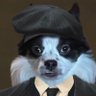 Profilbild von Ross Johnson