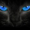 Фото профиля 🐾 🐈⬛ Susan 🐶 🐾