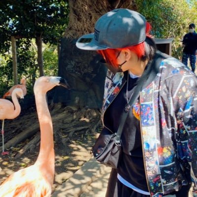 nodoka_p's profile picture