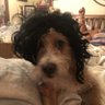 Tamera Bigsby's profile picture