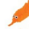 🧡Sooploosh MacSchnibble🧡's profile picture