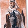 🇸🇦A's profile picture