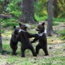 Фото профиля PJuliya