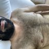 acuriousbear profil fotoğrafı