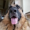 West's profile picture