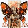 Profilbild von motylas 🦋 💎
