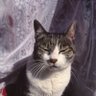 Profilbild von たかとし