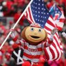 Profilbild von The Cincy Buckeye