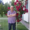 Mehmet şahan's profile picture