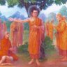 milind jadhav India News 的头像